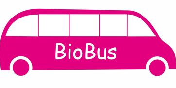 爱游戏官方入口-意甲联赛的绿色可持续发展，意甲联赛啥意思