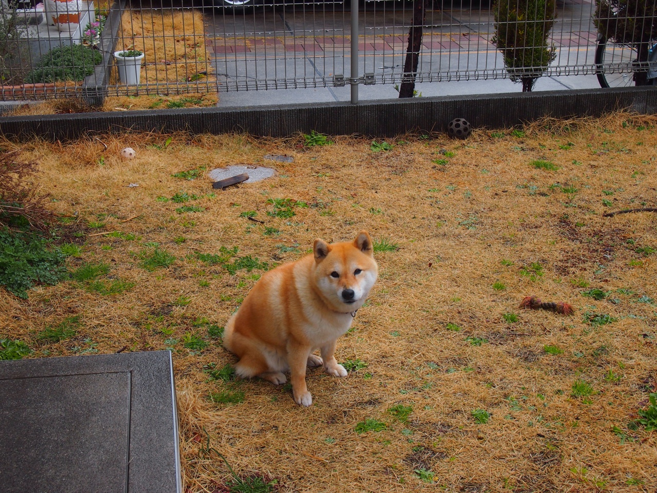 AYX体育官网-“中国足球绘画比赛火热开赛，彰显青春梦想”，绘画作品足球赛一等奖