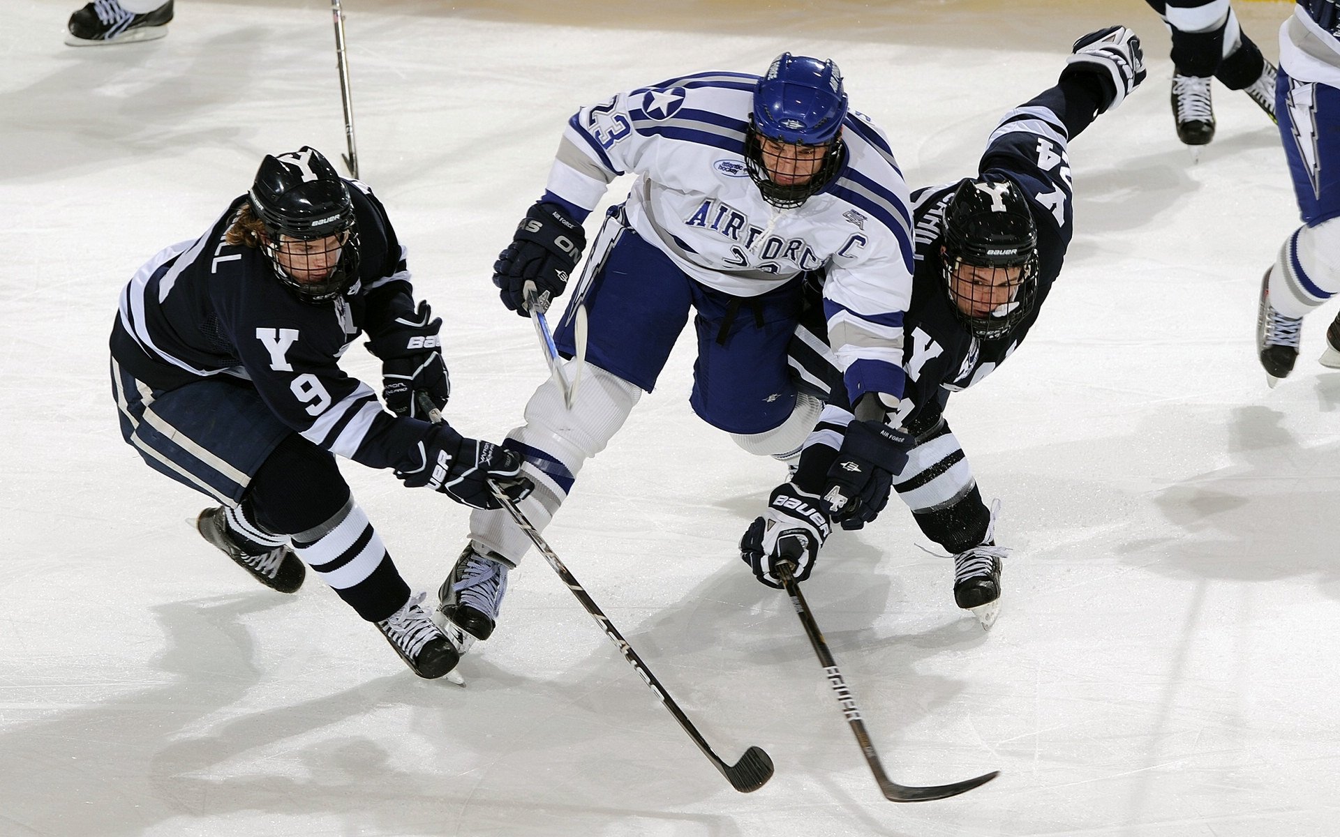 中国篮球裁判员培训课程正式上线,推动裁判专业化,2020篮球裁判培训班