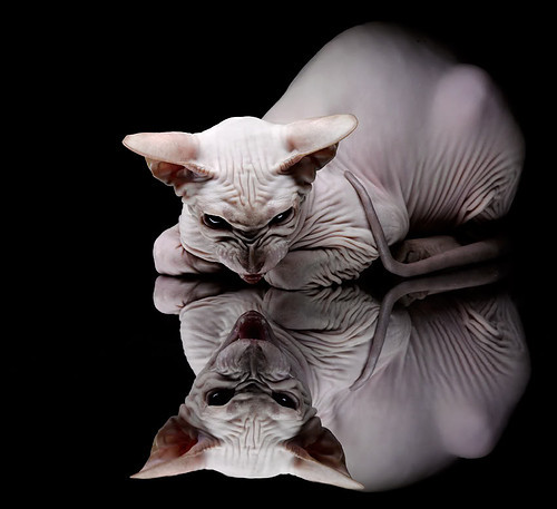 爱游戏ayx-今年联盟助攻榜：你最喜欢谁的“神级助攻”？，联盟一个助攻多少钱